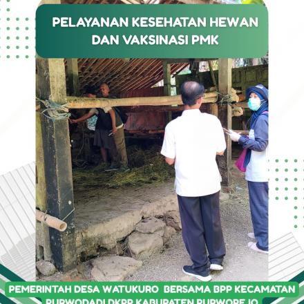 PELAYANAN KESEHATAN DAN VAKSINASI PMK